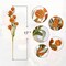 6-Pack Rustic Fall Floral Picks – 17-Inch Faux Autumn Branches with Craspedia Billy Balls for Vase, Table Centerpieces, Boho Indoor Fall Décor (Orange)
